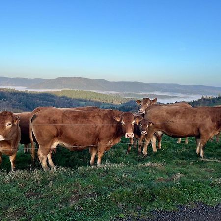 Gite De Montagne -Bellefosse Alsace Esterno foto
