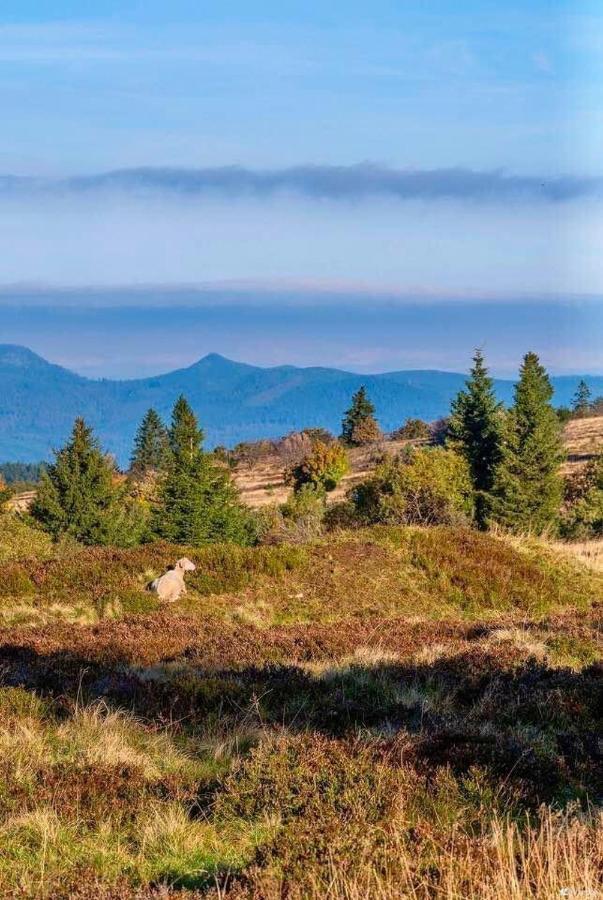 Gite De Montagne -Bellefosse Alsace Esterno foto