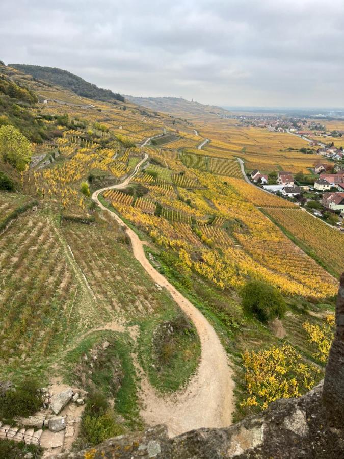 Gite De Montagne -Bellefosse Alsace Esterno foto