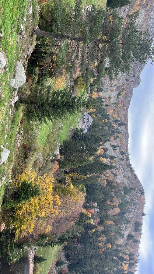 Gite De Montagne -Bellefosse Alsace Esterno foto