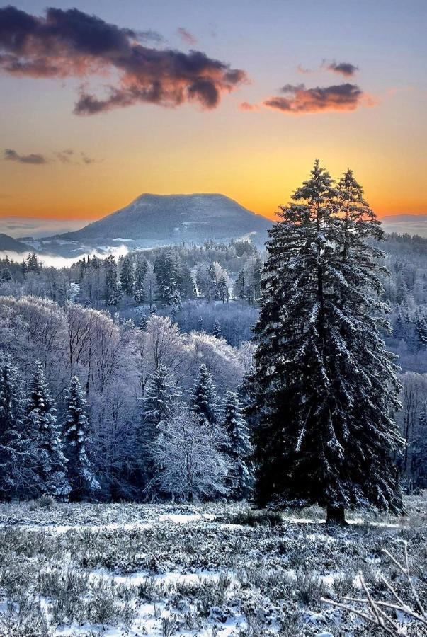 Gite De Montagne -Bellefosse Alsace Esterno foto